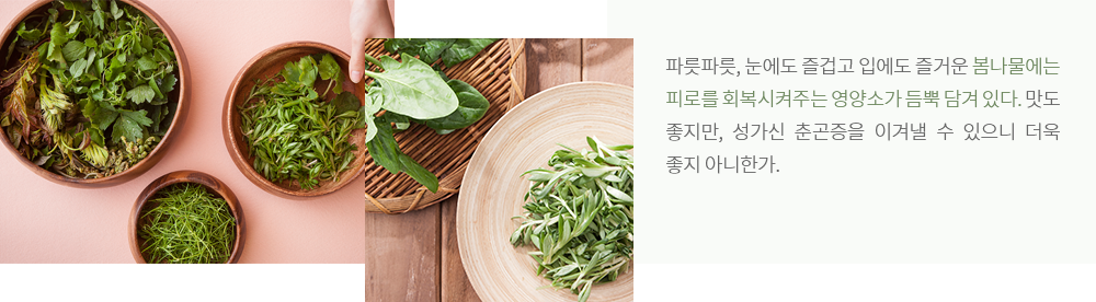 파릇파릇, 눈에도 즐겁고 입에도 즐거운 봄나물에는 피로를 회복시켜주는 영양소가 듬뿍 담겨 있다. 맛도 좋지만, 성가신 춘곤증을 이겨낼 수 있으니 더욱 좋지 아니한가.