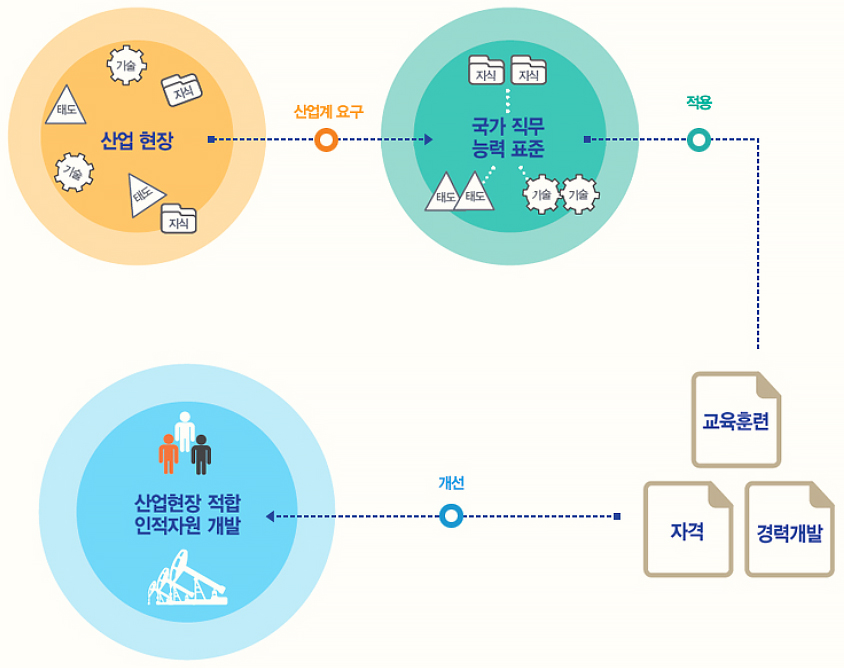 국가직무능력표준(NCS) 란?