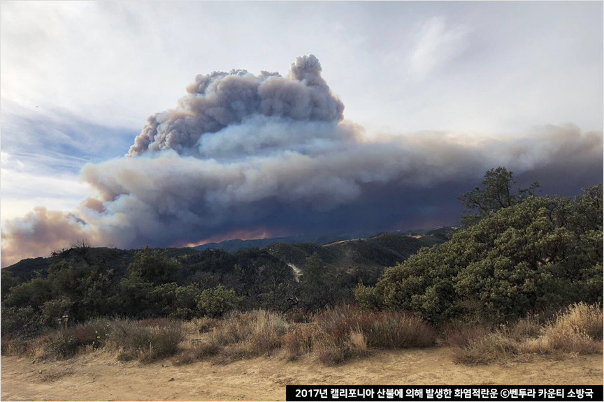 2017년 캘리포니아 산불에 의해 발생한 화염적란운 ⓒ벤투라 카운티 소방국
