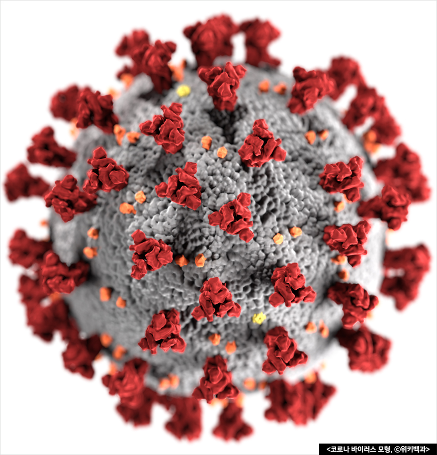 코로나 바이러스 모형, ⓒ위키백과