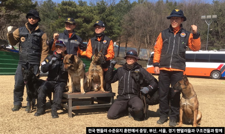 전국 핸들러 수준유지 훈련에서 중앙, 부산, 서울, 경기 핸들러, 구조견들과 함께