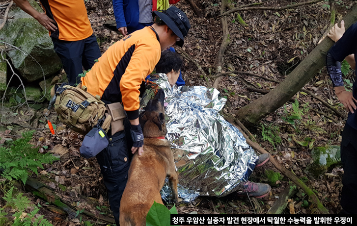 청주 우암산 실종자 발견 현장에서 탁월한 수색능력을 발휘한 우정이