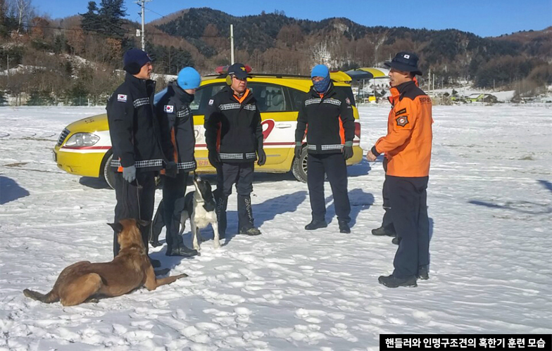 핸들러와 인명구조견의 혹한기 훈련 모습