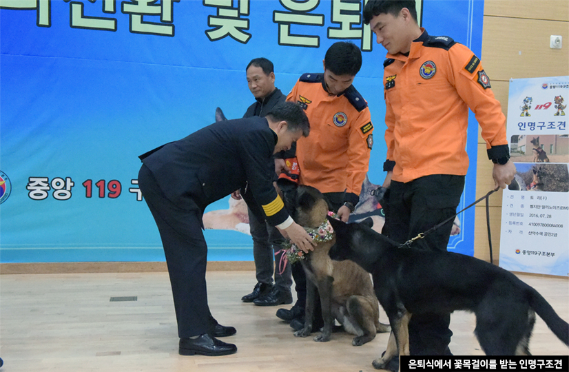 은퇴식에서 꽃목걸이를 받는 인명구조견