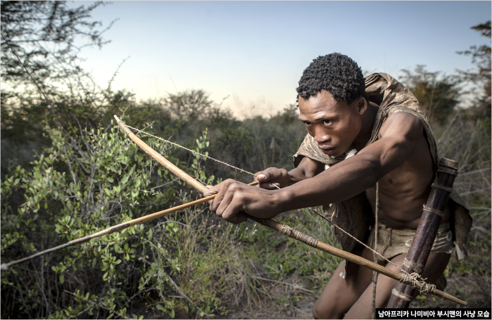 남아프리카 나미비아 부시맨의 사냥 모습